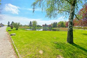 Tiny House Grundstück in Lindholz, Mecklenburg-Vorpommern